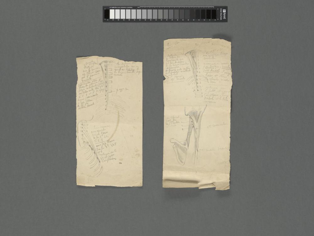 Schetsboek I