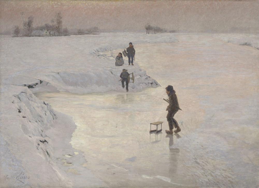 De ijsvogels