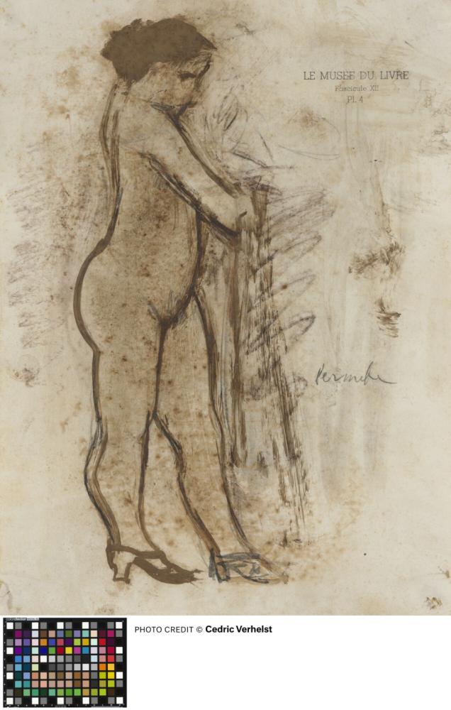 Torso