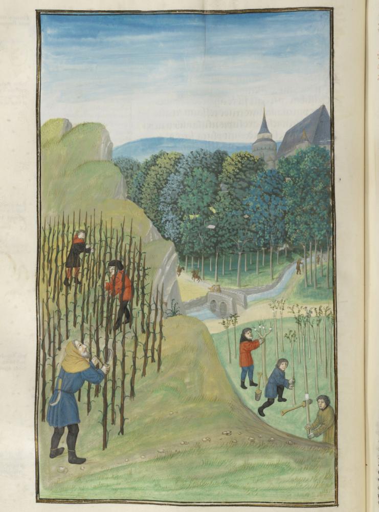 Bladzijde uit Vergilius Manuscripten uit de bibliotheek van Raphael de Marcatellis