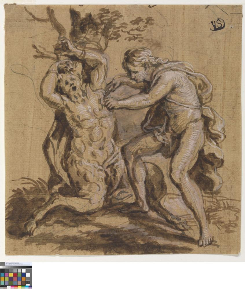 Marsyas gevild door Apollo