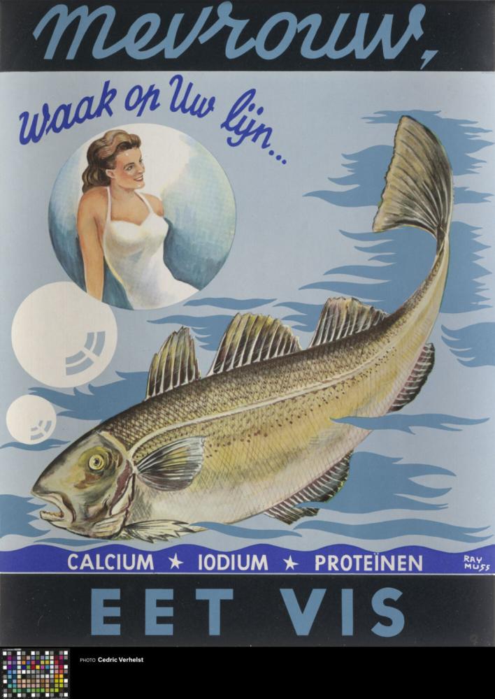 Affiche 'Mevrouw, waak op uw lijn - Eet Vis'