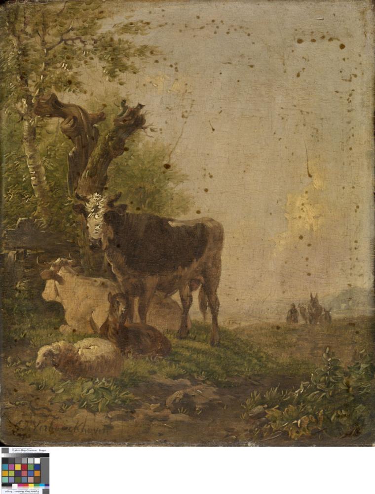 Koeien en schapen