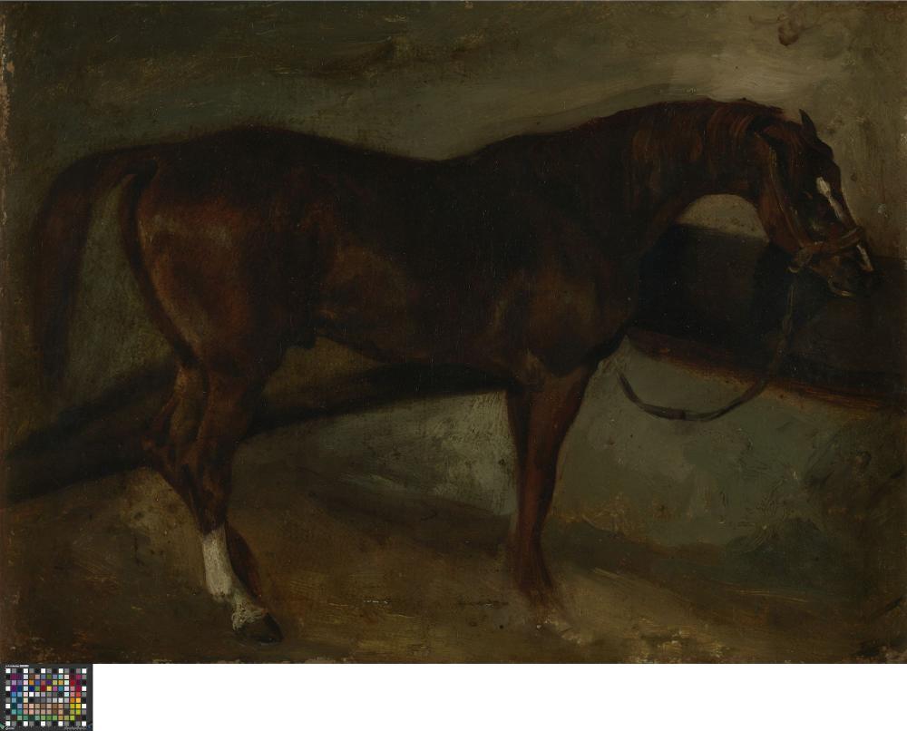Bruin paard