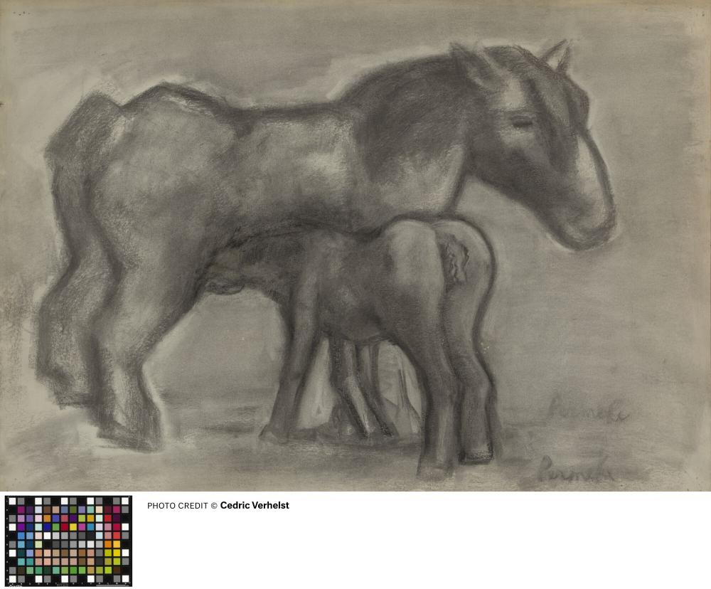 Paard met veulen