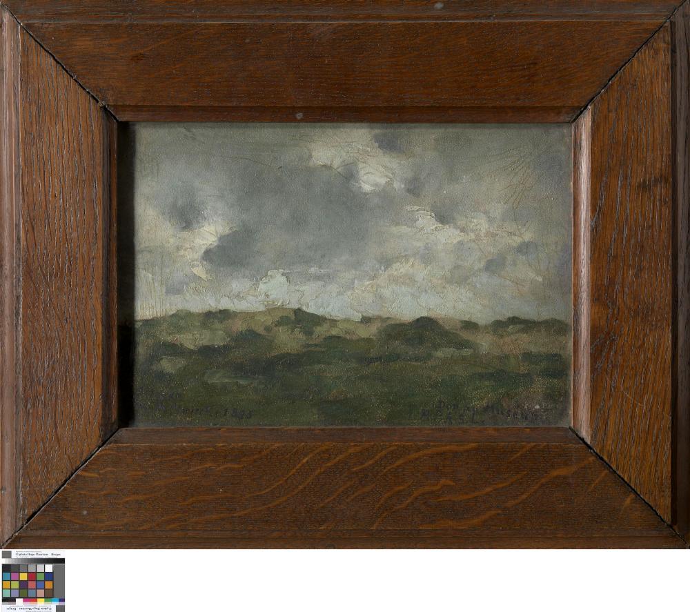 Duinen in Knokke