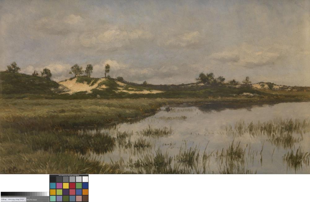 Moer in de heide