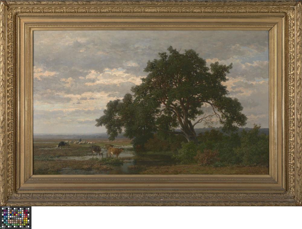 Veenlandschap