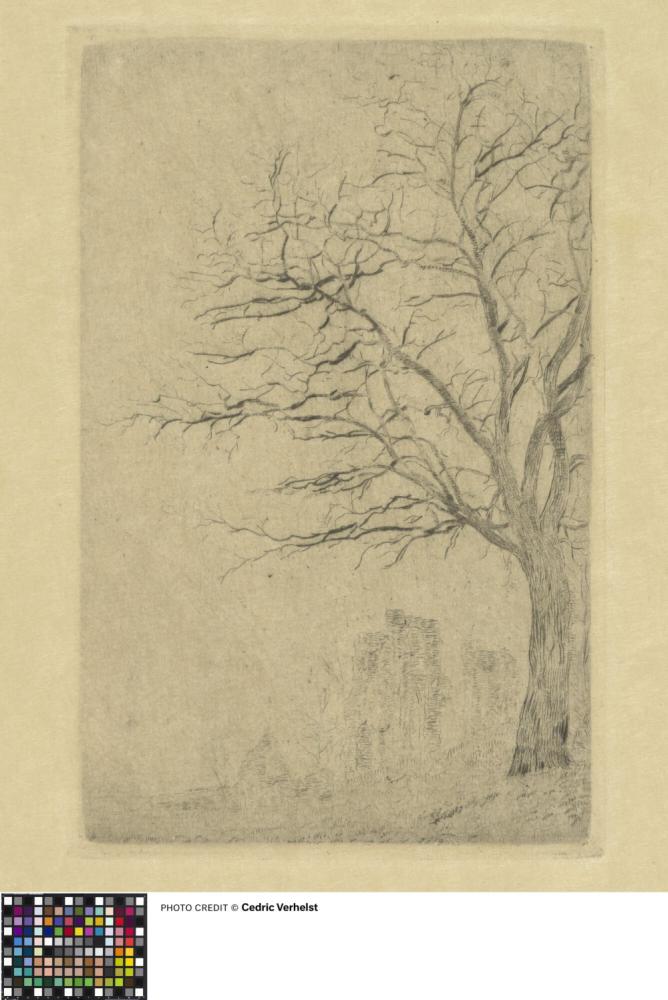 L'acacia