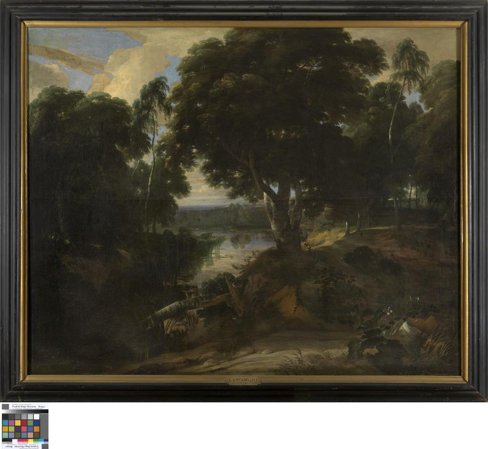 Boslandschap