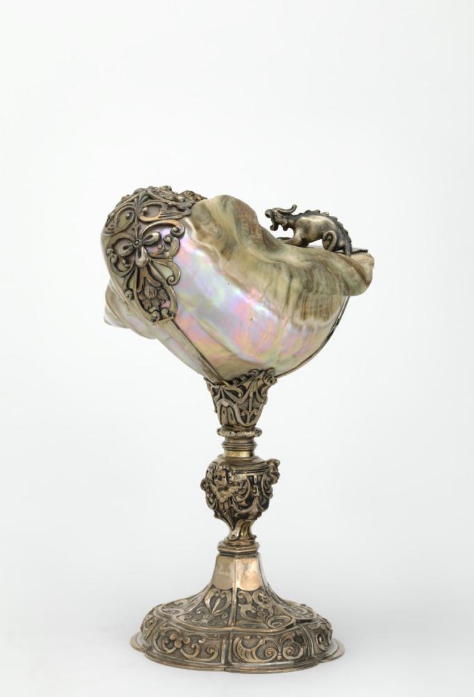 Nautilusschelp