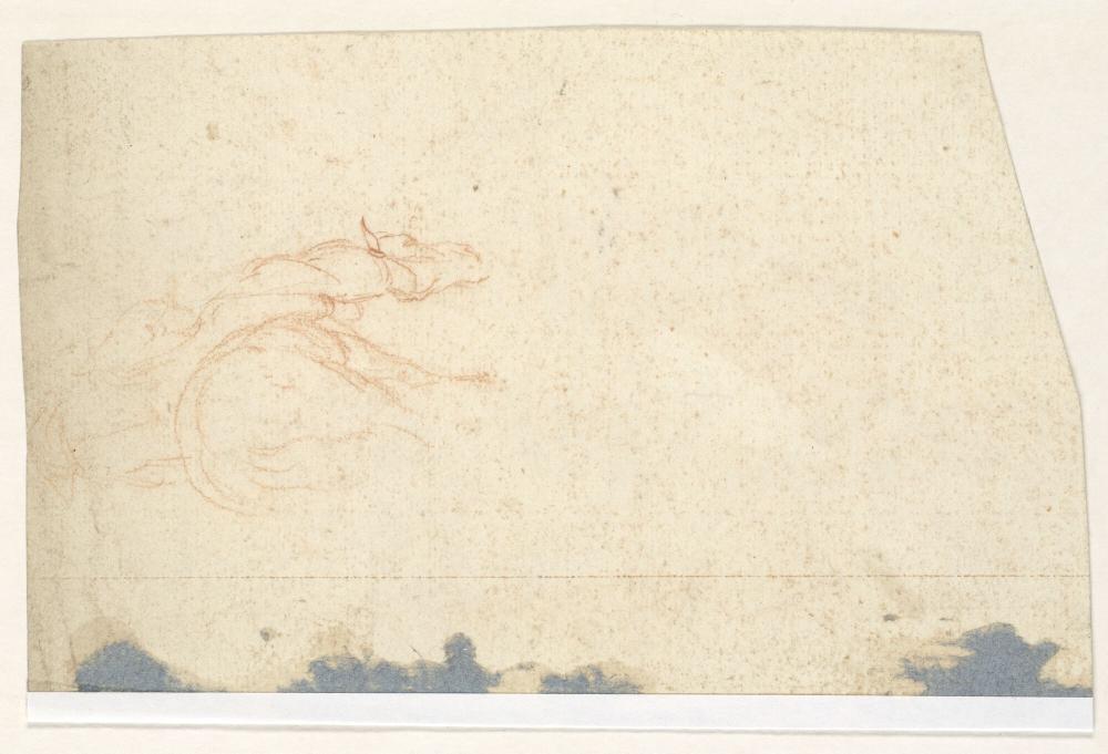 Paard en ruiter