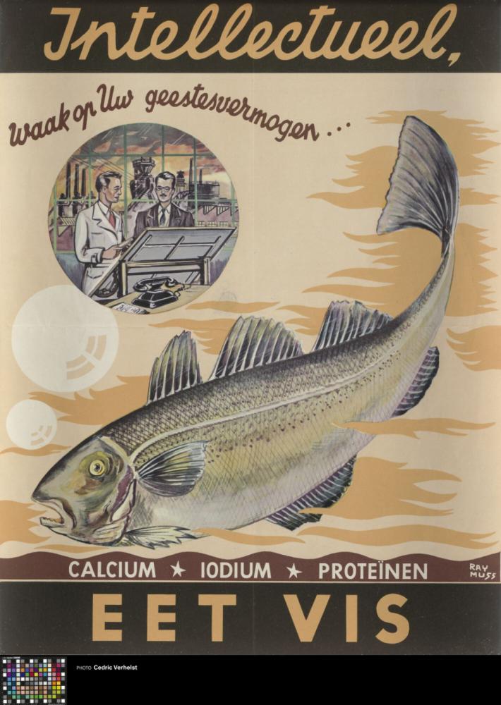 Affiche 'Intellectueel, waak op uw geestesvermogen - Eet Vis'
