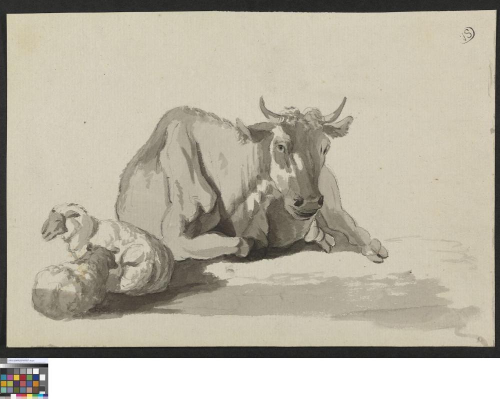 Twee schapen en een rund