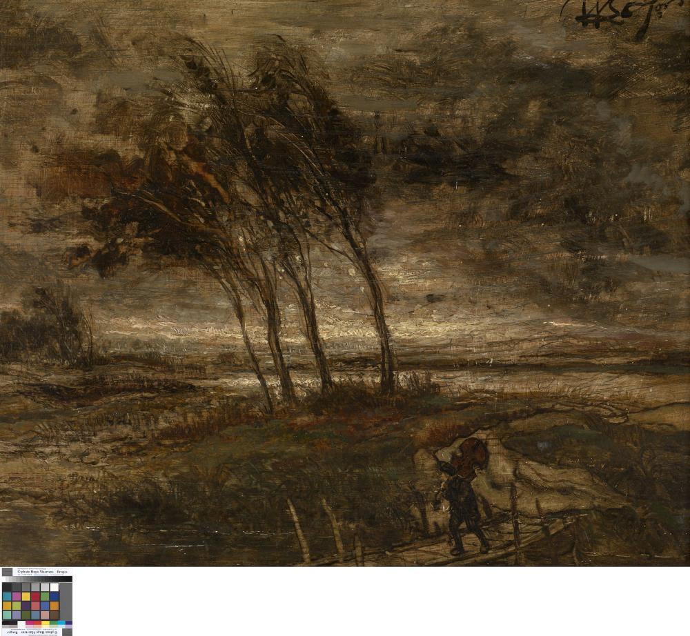 Stormlandschap