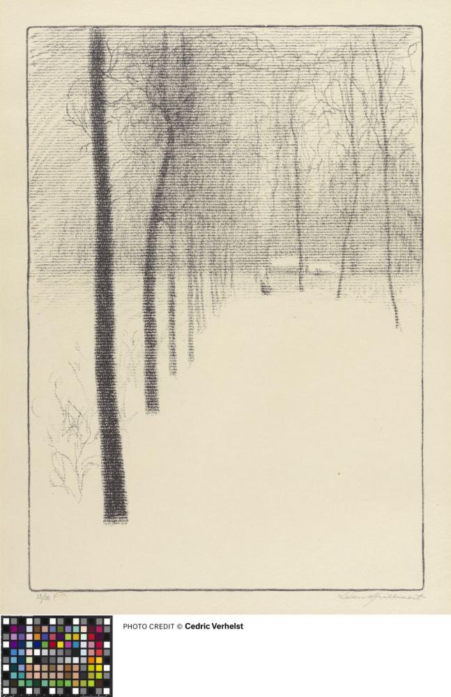De dreef