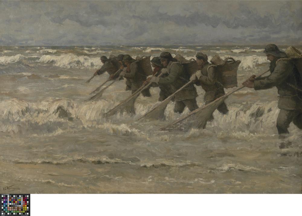 Garnaalvissers