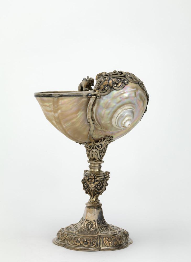 Nautilusschelp