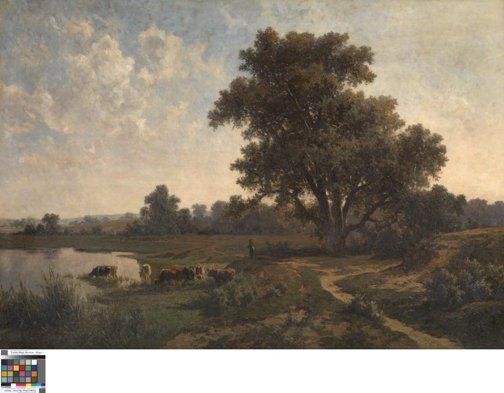 Heide bij Oosterbeek  Gelderen