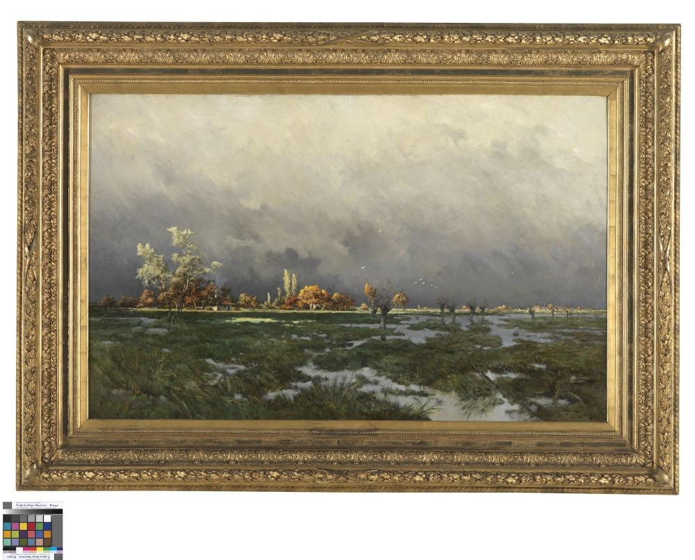 Zonnestraal na het onweer