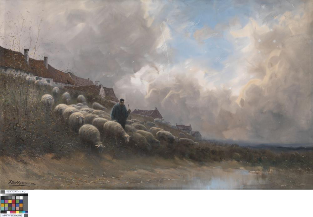 Landschap met schapen