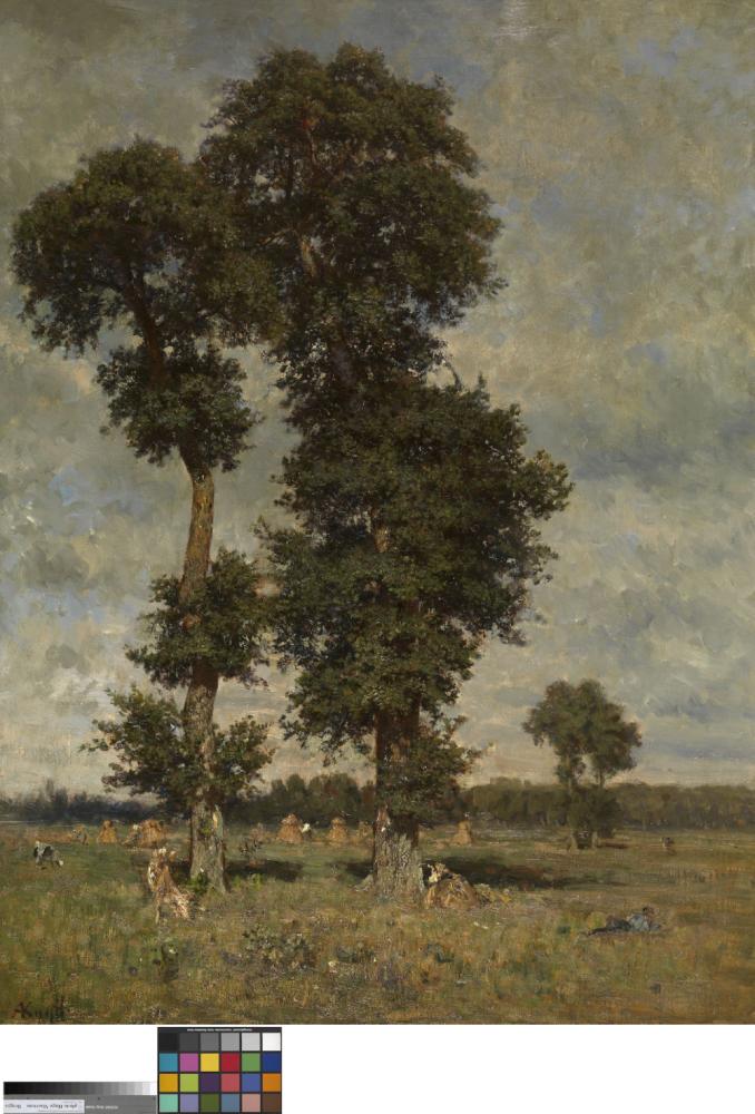 Landschap