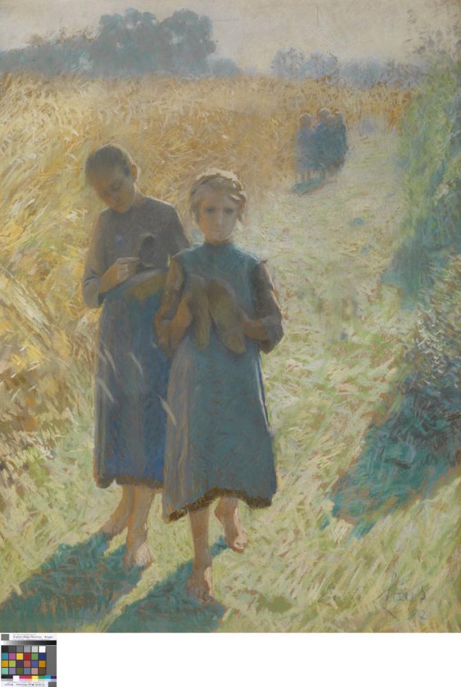 Meisjes in het veld