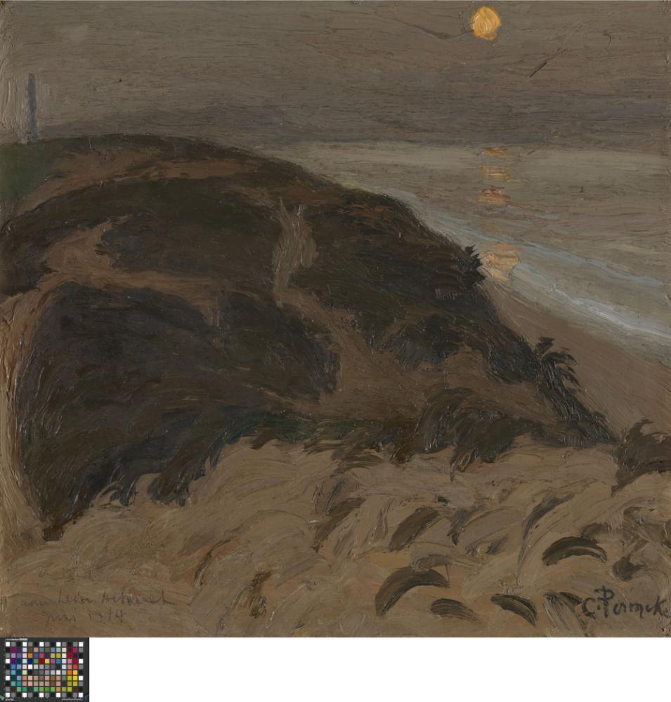 Duinen
