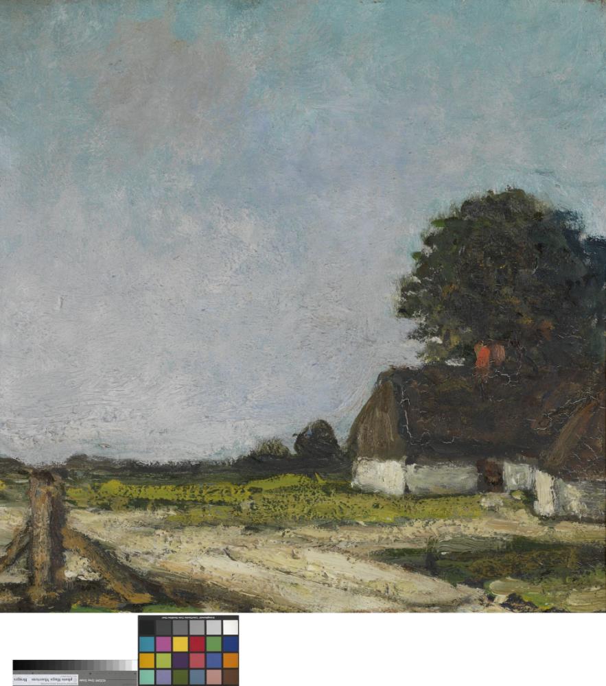 Kempens landschap met vlondertje