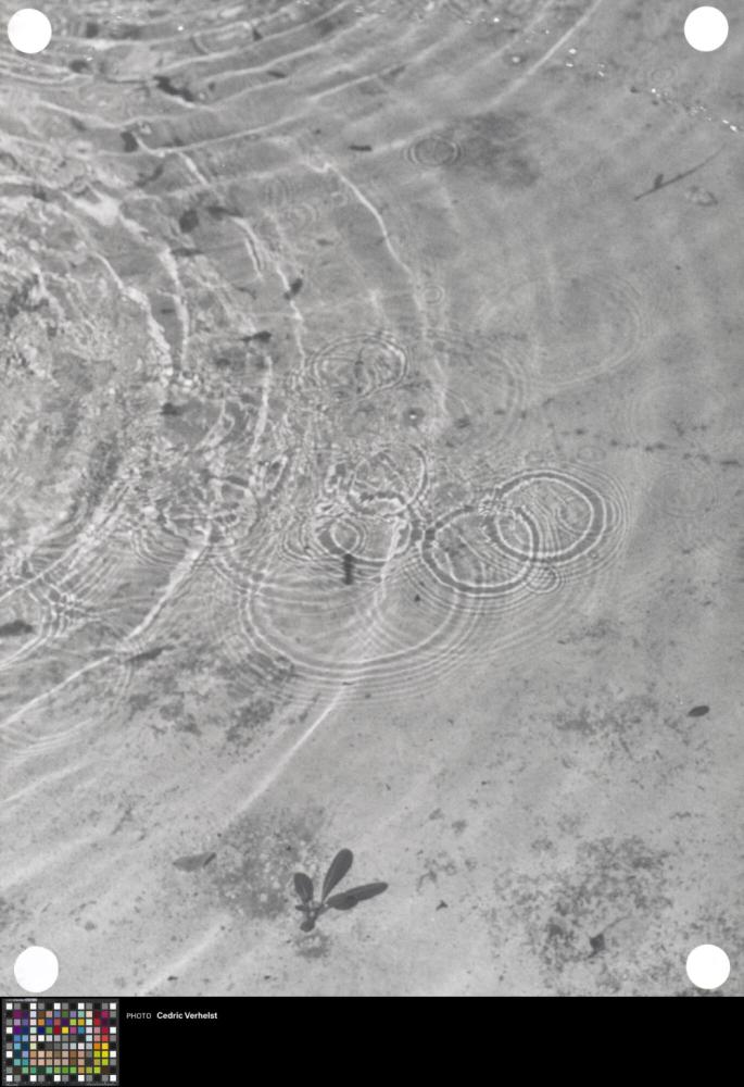 Circles