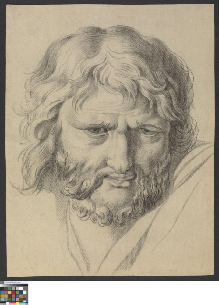 Kop van een man met baard