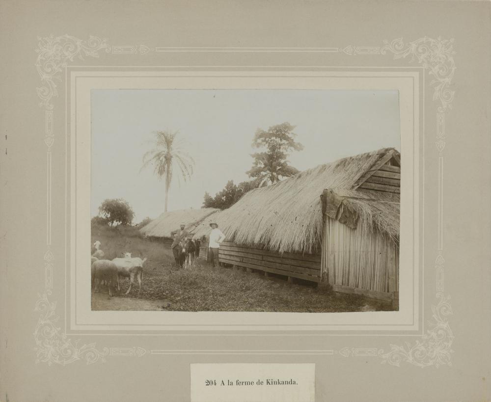 Aanleg spoorweg in Congo
