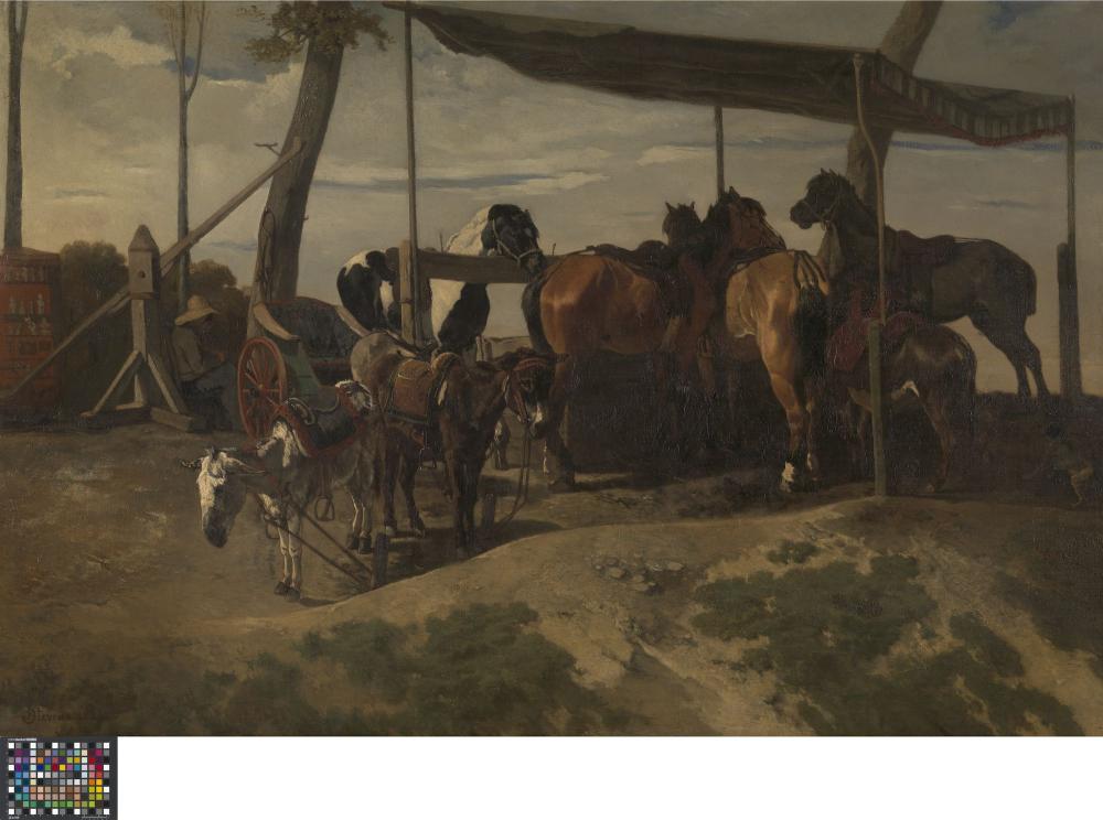 Verhuring van paarden en ezels