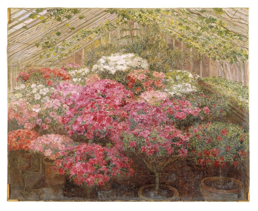 Serre met azalea's