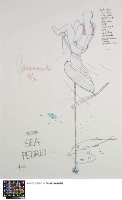 Noordzeepedalo