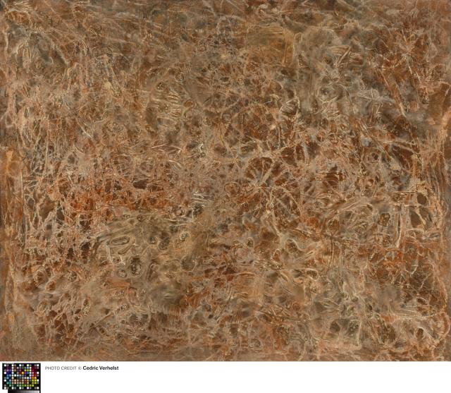 Paysage d' Automne