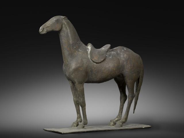 Gezadeld paard
