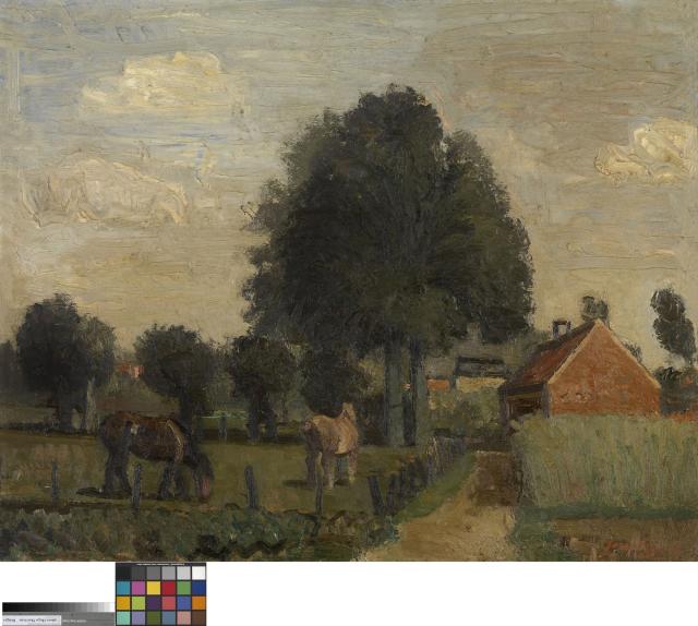 Landschap