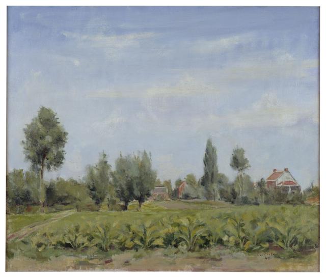 Landschap (Moestuin)