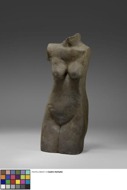 Torso