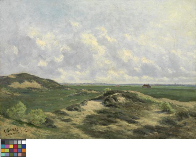 Duinen