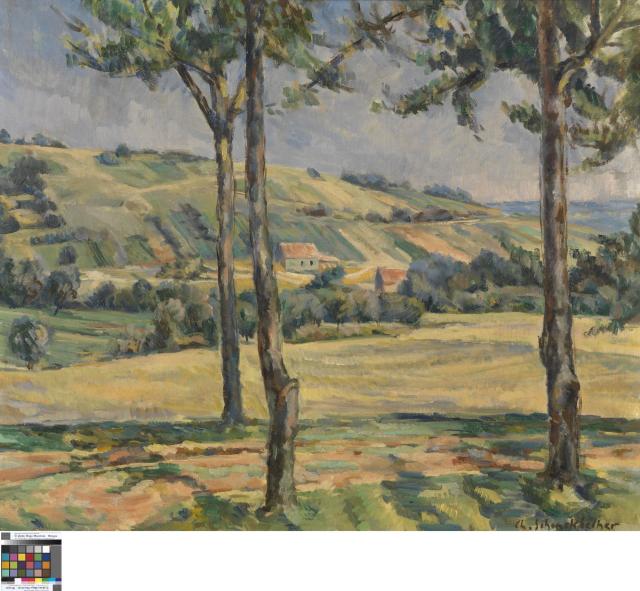 Landschap met drie bomen