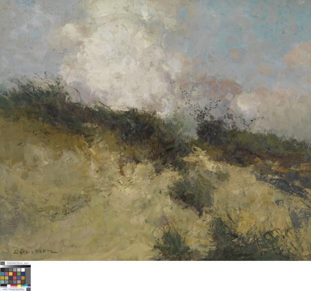De wolk