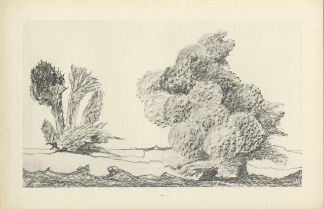 Histoire Naturelle. Map met 34 lichtdrukken naar potloodfrottages