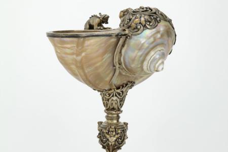 Nautilusschelp