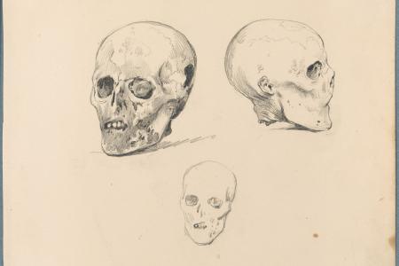 Drie studies van het doodshoofd van de jacobijn Antonio Timmerman uit Duinkerken