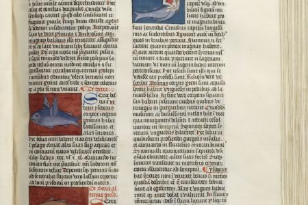Bladzijde uit Liber de naturis rerum creatarum Manuscripten uit de bibliotheek van Raphael de Marcatellis