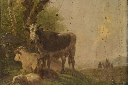 Koeien en schapen
