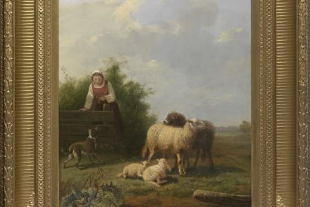 Landschap met schapen