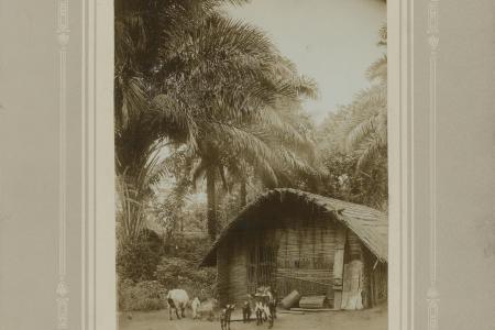 Aanleg spoorweg in Congo